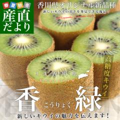 ���쌧���Y�n���� JA���쌧 �L�E�C�t���[�c ����(������傭) �@��3�L���@(27�ʂ���35�ʑO��) ���������y���������F�J�[�g���ɋL�ڂ���