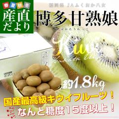 ������ JA�ӂ��������� �����Ïn���i�͂�����������j��1.8�L���i5�ʂ���7�ʓ���~2�܁j �������� �L�E�C �O���[���L�E�C �w�C���[�h �s