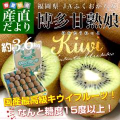 ������ JA�ӂ��������� �����Ïn���i�͂�����������j��3.6�L���i20�ʂ���27�ʁj �������� �L�E�C �O���[���L�E�C �w�C���[�h �s�ꔭ���y