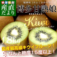 ������ JA�ӂ��������� �����Ïn���i�͂�����������j��1.8�L�� ���ϔ��i15�ʓ���j�������� �L�E�C �O���[���L�E�C �w�C���[�h�y������