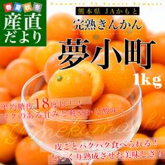 �F�{�� JA������ ���n���񂩂�u�������v�G�i ��1�L���i250g�~4�p�b�N����j L�T�C�Y�ȏ� �������� ���� ���k �s�ꔭ���y���������F�J�[