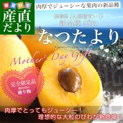 �y��̓��M�t�g�z���茧���Y�n���� JA���肹���� ����т� �Ȃ���� �G�i 1�L�����ϔ� (12�ʂ���15��) �������� ���f ��̓��т�   