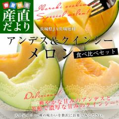 ��錧�Y JA��鈮�� �A���f�X���������N�C���V�[������ �G�i 2�ʃZ�b�g(���v��2�L��) 2L�T�C�Y �������� �� �ԓ� �������Z�b�g�y����