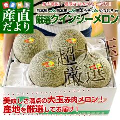 �F�{������Y�n���� ���I�N�C���V�[������ ��� �D�i�ȏ�@3L����4L ��5�L��(3�ʂ���4�ʁj �������� JA�F�{�s JA�F�{���� JA����� ��