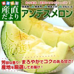 �F�{������Y�n���� ���I�A���f�X������ ���3L�T�C�Y �D�i�ȏ� ��2.5�L�� (2�ʓ�) �� JA�F�{�s �� �������� ������ ���y���������F�J