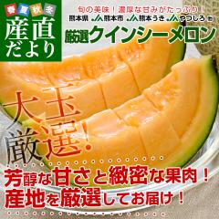 �F�{������Y�n���� ���I�N�C���V�[������ ���3L�T�C�Y �D�i�ȏ� ��2.5�L�� (2�ʓ�) �������� JA�F�{�s JA�F�{���� JA����� �� �ԓ�