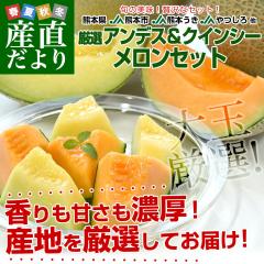 �F�{������Y�n���� ���I�������Z�b�g �A���f�X���������N�C���V�[������ ���3L�T�C�Y �D�i�ȏ� ��2.5�L�� (2�ʓ�) �������� JA�F�{�s J