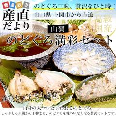 �R�������֎s����Y�n���� �R�� �̂ǂ��떞�ʃZ�b�g (�̂ǂ����t��h�g �̂ǂ���ؐg �̂ǂ���0���n������) �������� �m�h�O�� �A�J���c 