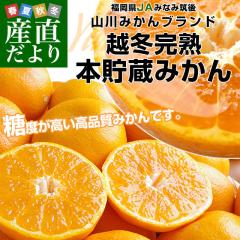 ���������Y�n���� JA�݂Ȃݒ}�� �R��݂��� �z�~���n �{�����݂��� �i�����B�j L����M�T�C�Y 5�L�� �i40�ʂ���50�ʑO��j �������� 