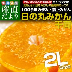 ���Q���Y JA�ɂ����� ���̊ۂ݂��� �痼 2L�T�C�Y ��5�L��(35�ʑO��) ���� �~�J�� ���������@ �y���������F�J�[�g���ɋL�ڂ��Ă���܂��z