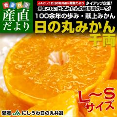 ���Q���YJA�ɂ����� ���̊ۂ݂��� �痼 L����S�T�C�Y ��5�L��(40�ʂ���60��) �������� ���� �~�J�� ���Ε� ��Ε� �M�t�g�y���������F�J