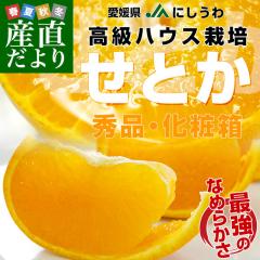 ���Q�����Y�n���� JA�ɂ����� �����n�E�X�͔| ���Ƃ� �G�i 3L����L�T�C�Y 3�L�����ϔ� �i10�ʂ���15�ʁj �������� �Z�g�J ���F�a�y����