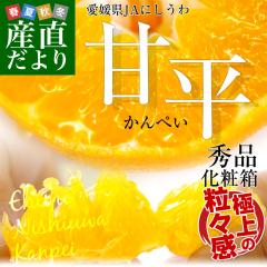 ���Q�����Y�n���� JA�ɂ����� �Õ�(����؂�) �G�i 3L����L�T�C�Y 3�L��(10�ʂ���15��) �������� �J���y�C ���F�a�y���������F�J�[�g��