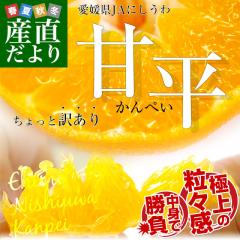 ���Q�� JA�ɂ����� �Õ�(����؂�) ������Ɩ󂠂� �Ǖi 3L����L�T�C�Y ��2.5�L��(6�ʂ���13��) �������� �J���y�C ���F�a�y���������F�J