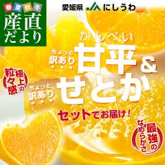 ���Q���Y JA�ɂ����� �Õ������Ƃ��Z�b�g �Ǖi ������Ɩ󂠂� ���v5�L���i2.5�L���~2���j����؂� �Z�g�J �������� ���F�a �����l �y��