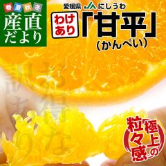 ���Q���Y�@JA�ɂ�����@�󂠂�Õ��i����؂��j��5�L���@4L����L�i15�ʂ���28�ʑO��j�s��X�|�b�g �݂���~�J���@���������y���������F