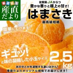 ���ꌧ�Y JA����� �͂܂��� ���� SS�T�C�Y 2.5�L�� (20����25�ʑO��) �������� ���� �l��y���������F�J�[�g���ɋL�ڂ��Ă���܂��z