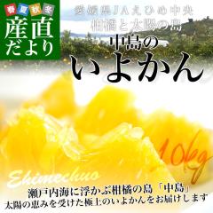 ���Q���Y JA���Ђߒ��� �����̂��悩�� �D�i ��10�L�� 2L�T�C�Y (36�ʑO��) �������� ���k �I�����W �ɗ\���y���������F�J�[�g���ɋL�ڂ�