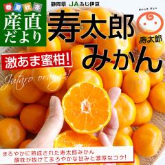 �É����Y JA�ӂ��ɓ� �����Y�݂��� M����S�T�C�Y ��2.5�L��(20�ʂ���32�ʑO��)�@�s��X�|�b�g �݂��� �~�J���y���������F�J�[�g���ɋL��