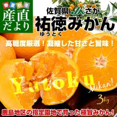 ���ꌧ���Y�n���� JA���� �S��(�䂤�Ƃ�)�݂��� L����SS�T�C�Y ��3�L�����ϔ�(24�ʂ���48�ʑO��) �������� �����݂���  ����  �y������