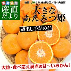 ���ꌧ�Y JA���� ����n���a�����x�� ���o���݂��� ����݂P ��3�L�� 3L�T�C�Y �i15�ʑO��j �s�ꔭ�� ���� �z�~���n�݂��� ���B�݂�