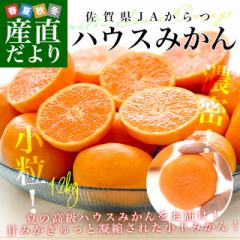 佐賀県 JAからつ ハウスみかん 小粒3Sサイズ 秀品 約1.2キロ（約400g×3袋）合計24玉から30玉前後 送料無料 蜜柑 ミカン 柑橘 ハウスミカ