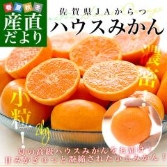 佐賀県 JAからつ ハウスみかん 小粒3Sサイズ 秀品 約2キロ（約400g×5袋）合計40玉から50玉前後 送料無料 蜜柑 ミカン 柑橘 ハウスミカン