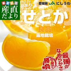 ���Q�� JA�ɂ����� ���Ƃ� �I�n�͔| �Ǖi ������Ɩ󂠂� ��2.5�L�� 3L����L�T�C�Y (8�ʂ���13��) �������� �Z�g�J ���F�a�y���������F�J