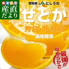 ���Q�����Y�n���� JA�ɂ����� ���Ƃ� �I�n�͔| �G�i 3L����2L�T�C�Y 3�L�����ϔ��i10�ʂ���12�ʁj�������� �Z�g�J ���F�a�y���������F