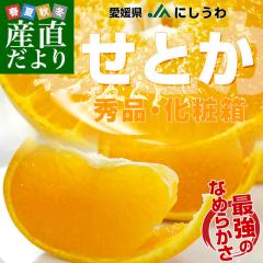 ���Q�����Y�n���� JA�ɂ����� ���Ƃ� �G�i 3L����2L�T�C�Y 3�L�����ϔ��i10�ʂ���12�ʁj�������� �Z�g�J ���F�a�y���������F�J�[�g����