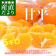 ���Q���Y JA���Ђߒ��� �Õ� �Z�i�ȏ� 4L����5L ��5�L��(10�ʂ���15�ʑO��) �������� ���k �I�����W �J���y�C�y���������F�J�[�g���ɋL