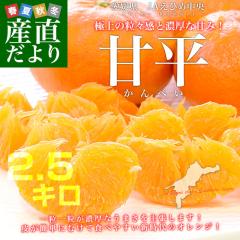 ���Q���Y JA���Ђߒ��� �Õ� �G�i 3L����L ��2.5�L��(6�ʂ���13�ʑO��) �������� ���k �I�����W �J���y�C�y���������F�J�[�g���ɋL�ڂ�