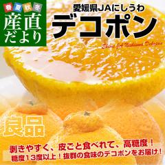 ���Q�� JA�ɂ����� �f�R�|�� �Ǖi 3L����L�T�C�Y ��5�L���i18�ʂ���24�ʑO��j�������� �ł��ۂ� ���k �I�����W ���F�a �����l�y��������