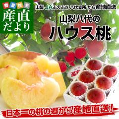 �R�������Y�n���� JA�ӂ��ӂ�����x�� ����̃n�E�X�� ��1�L�� �i5�ʂ���6�ʁj �������� ���� ����� �J���y���������F�J�[�g���ɋL