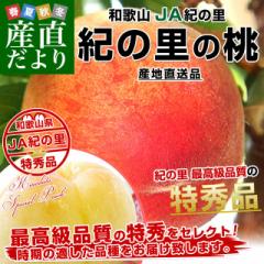和歌山県より産地直送 JA紀の里 紀の里の桃 特秀品 1.8キロ (6玉から8玉) 送料無料 桃 もも 