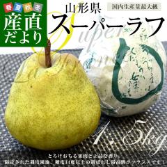 �R�`������Y�n���� JA�Ă�ǂ� �X�[�p�[���t ��1.5�L�� 3L����2L�T�C�Y(5�ʂ���7�ʓ���) �������� �m�� ���t�����X �M�t�g �y���������F