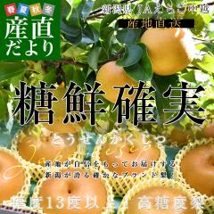 �V�������Y�n���� JA���������z �����x���u���N�m�� (�Ƃ����񂩂�����)�v �V���@�D�i�ȏ� ��5�L�� (6�ʂ���10��) �Ȃ� �i�V ��������
