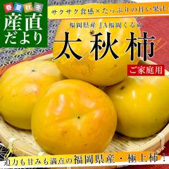 �������Y JA��������� ���H�` ���ƒ�p 3L����L�T�C�Y ��4.5�L���i12�ʂ���16�ʁj�������� �` ���� �������イ�����y���������F�J�[�g��
