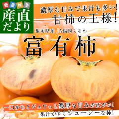 ������ JA��������� �x�L�` �D�i�ȏ� L����M�T�C�Y ��2�L���~2���i���v16�ʂ���20�ʁj �������� ���� �J�L �Ê` �y���������F�J�[�g����
