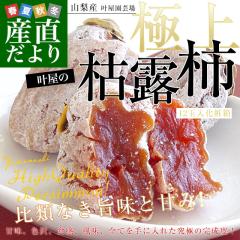 �R�������Y�n���� �R������A���v�X�s �������|�� �͘I�` 12�ʓ����ϔ��i1��48g�ȏ�~12���j �������� ����` ���` �y���������F�J�[�g