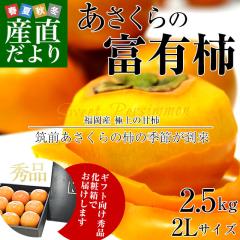 ���������Y�n�����@JA�}�O��������@��������̕x�L�`�@(�Ê`)�@�M�t�g�����G�i�@�QL�T�C�Y�@��2.5�L���@(9��)�@���ϔ�����@��������