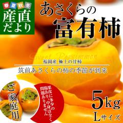 ���������Y�n���� JA�}�O�������� ��������̕x�L�`�@(�Ê`)�@ ���ƒ�p �@L�T�C�Y�@��5�L���@(20��) �@���������@�` ���� �J�L�y����