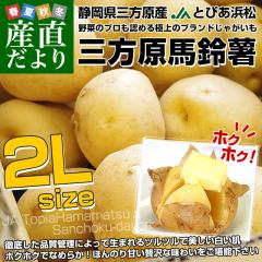 ÉY JAƂ҂l On鏒 2LTCY 5Li25ʑOj  Ⴊ WKC