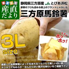 ÉY JAƂ҂l On鏒 3LTCY 10Li30ʑOj  Ⴊ WKC