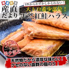 VRgnX(󏭂ȕg̕) AJY 500g  g  xjUP  VP TP N[Ⓚ