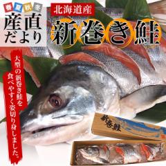 北海道産　姿切り身 大型の鮭 まるごと1尾分　3キロ　北海道サケ　シャケ 秋鮭 産直