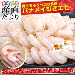 w^ oiCނ 700g~2܁iv1.4Lj ChYiHj Gr CV  oiCGr w^