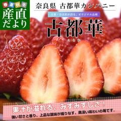 �ޗǌ� �Ós�؃J���p�j�[ �Ós�؁i���Ƃ��j 3L����L�T�C�Y ���v��540g�y���������F�J�[�g���ɋL�ڂ��Ă���܂��z