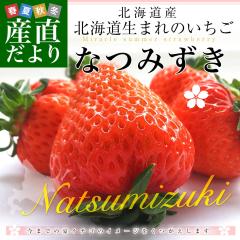 �k�C�����Y�n���� ���������� �Ȃ݂����@��300g�i20������24���j���ϔ����� �C�`�S � �ăC�`�S�y���������F�J�[�g���ɋL�ڂ��Ă���
