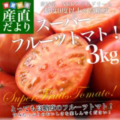 茨城県より産地直送 NKKアグリドリーム スーパーフルーツトマト 9度＋ A品 約3キロ(20玉から35玉)  送料無料 高糖度トマト NKKトマト